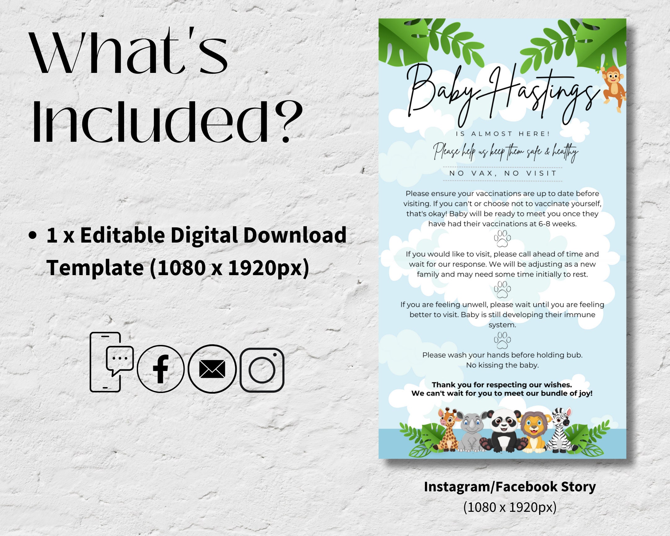 Newborn Rules.pdf EDITABLE TEMPLATE, Newborn Visit Rules, Social Media Share Story, Email ...