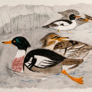 Duck sketch instant digital download