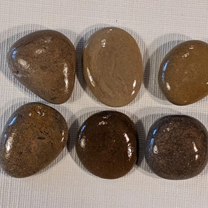 May include: Six smooth, polished river rocks in various shades of brown. The rocks are arranged in a semi-circle on a white fabric background.
