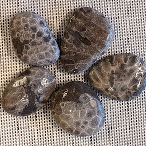 May include: Five smooth, dark gray stones with a unique, swirling, white pattern. The stones are arranged in a flower shape.