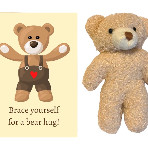 Pocket Teddy Bear Etsy