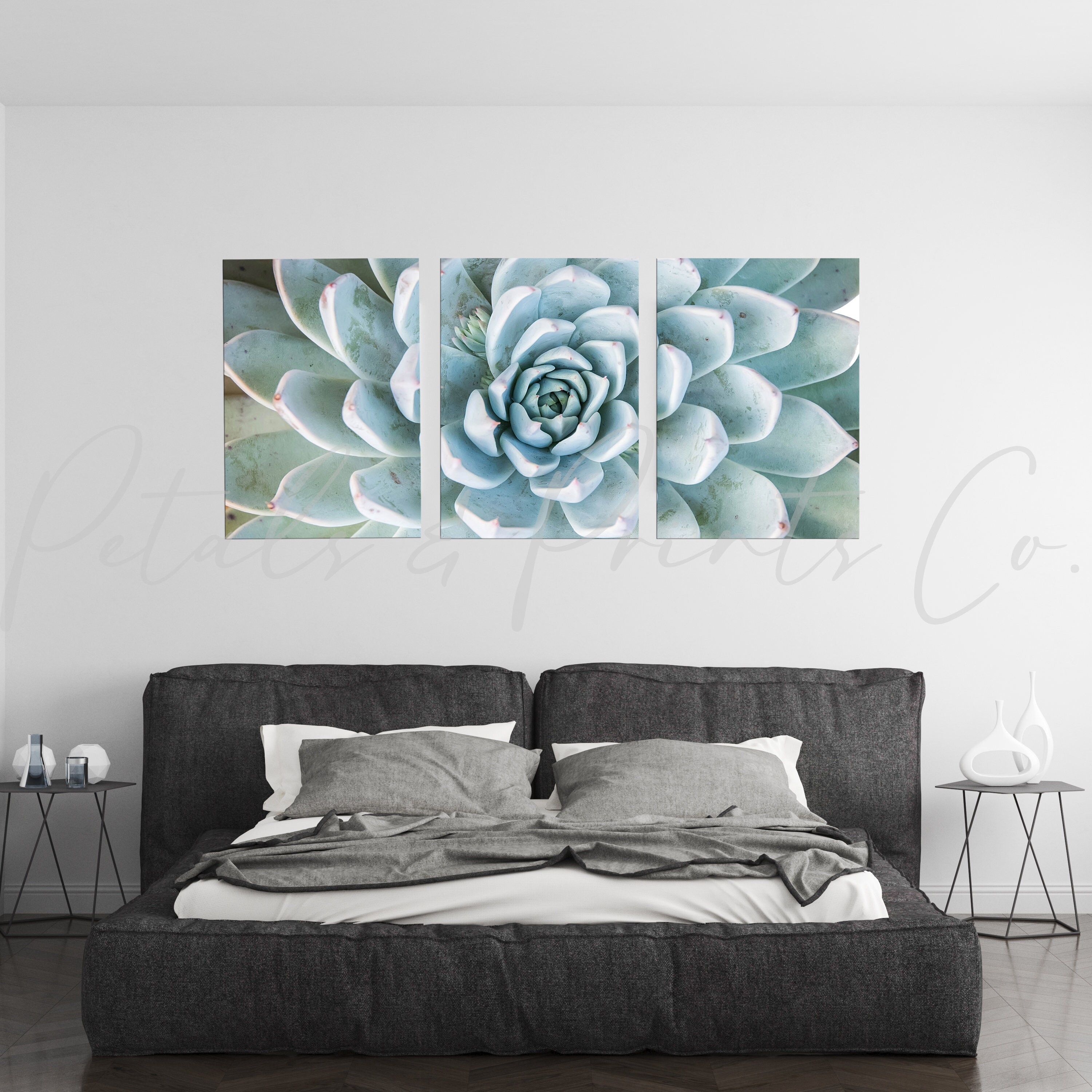 3 Piece Succulent Wall Art Decor Poster Print - Etsy