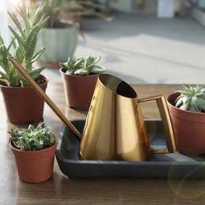 Small Watering Can Etsy There are 623 mini watering can for sale on etsy, and they cost $13.66 on average. small watering can etsy