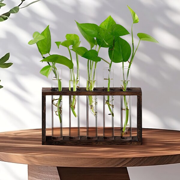 Propagation Tubes Etsy