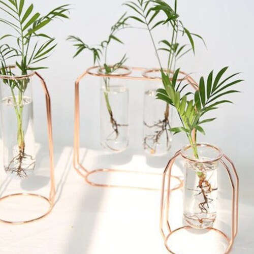Glass Propagation Starter Tubes With Metal Wire Stand Etsy