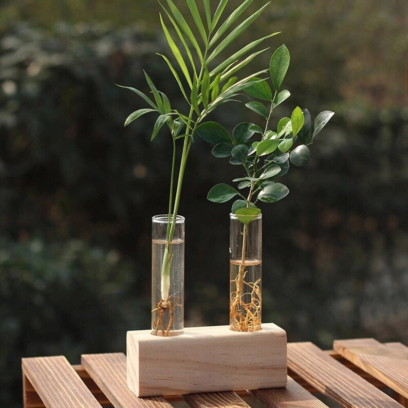 Glass Propagation Station Tubes With Wood Stand Etsy