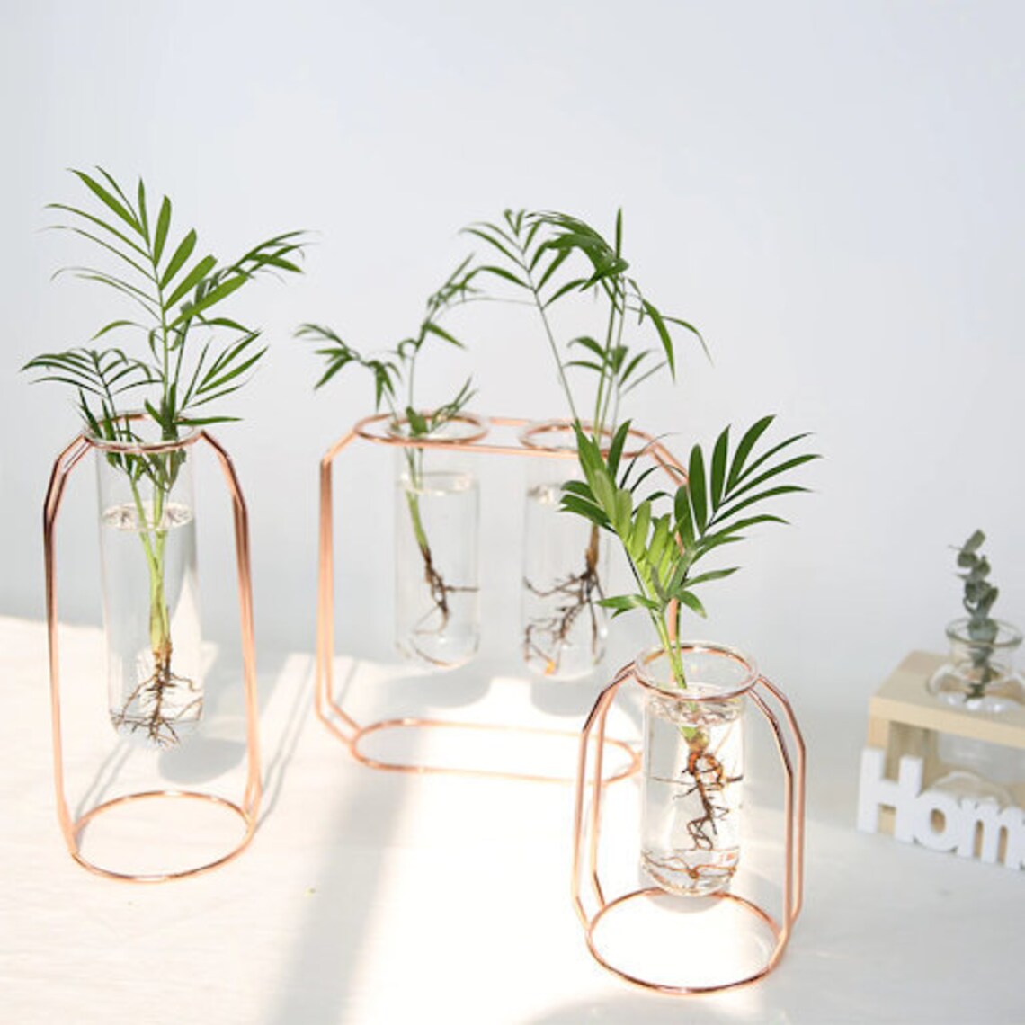 Glass Propagation Starter Tubes with Metal Wire Stand Etsy