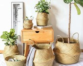 Natural Seagrass Plant Belly Basket, Home Decor Wicker Plant Basket