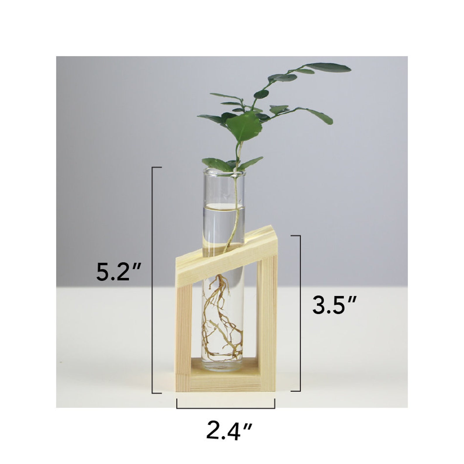 Glass Propagation Station Tubes With Wood Stand Etsy