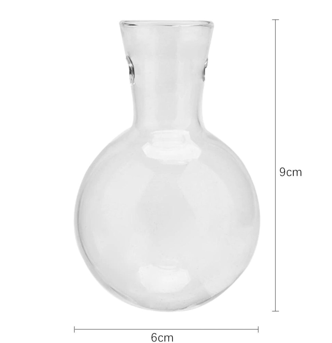 Glass Propagation Vase Bulbs With Wood Stand Etsy