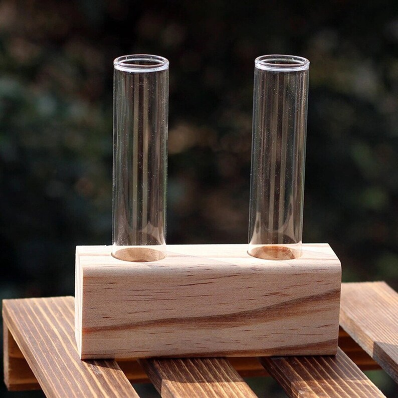Glass Propagation Station Tubes With Wood Stand Etsy
