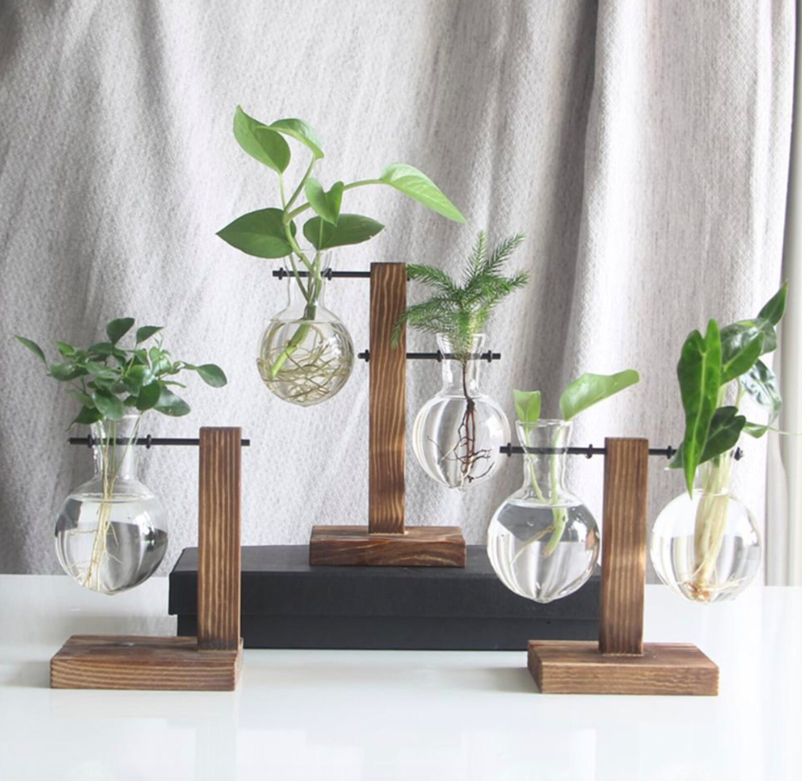 Glass Propagation Vase Bulbs With Wood Stand Etsy