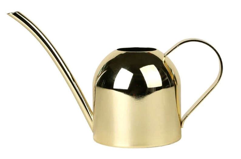 Rose Gold Metal Watering Can Great for indoor plants Etsy