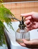 Glass Plant Watering Mister | Comes in Multiple Colors 