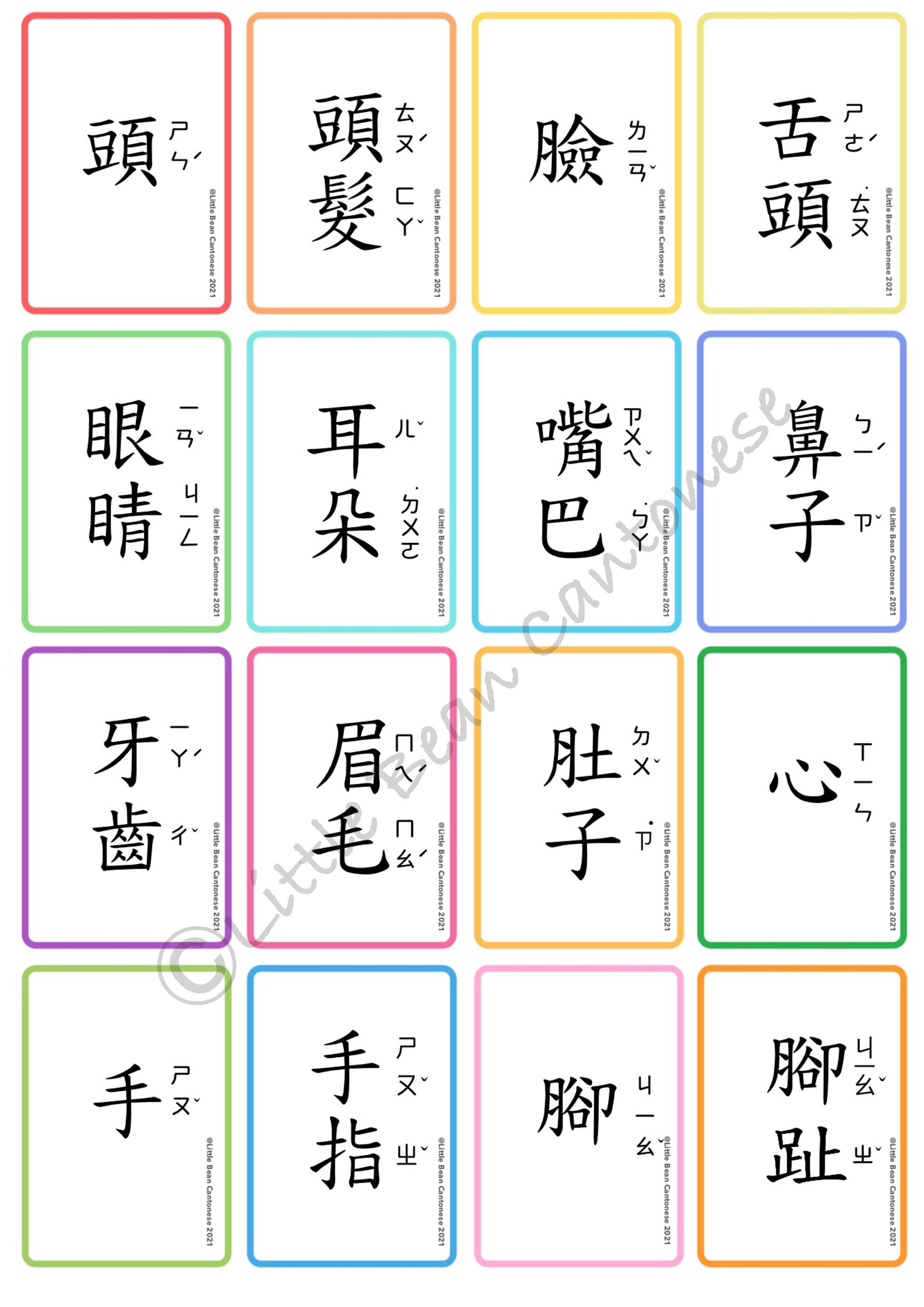 Lbc-my Body Chinese Book With Flashcards Set - Etsy