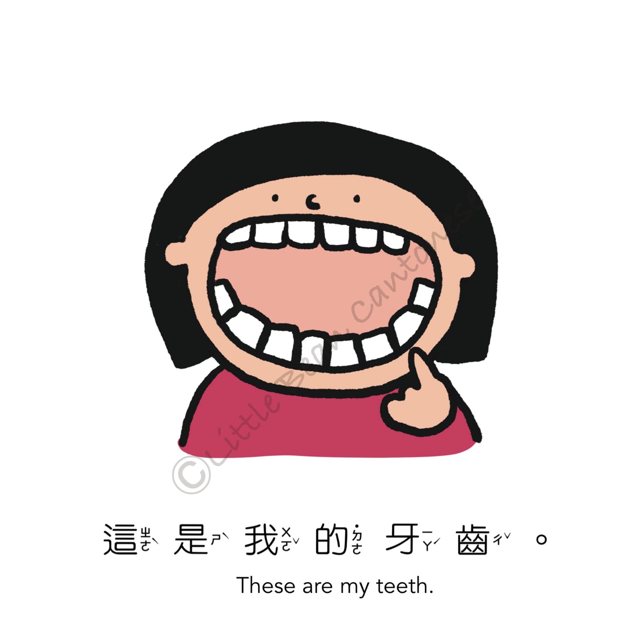 Lbc-my Body Chinese Book With Flashcards Set - Etsy
