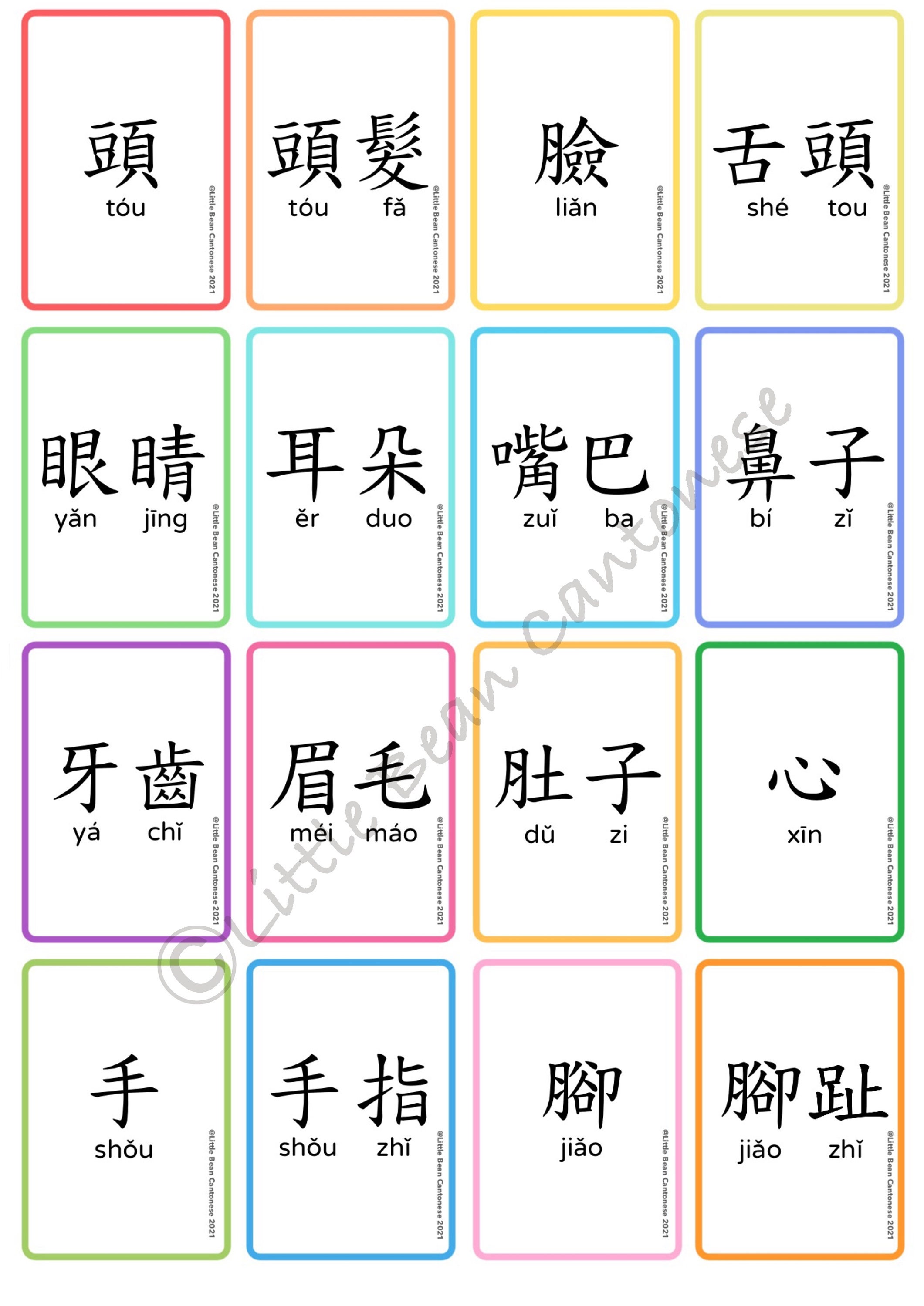 Lbc-my Body Chinese Book With Flashcards Set - Etsy