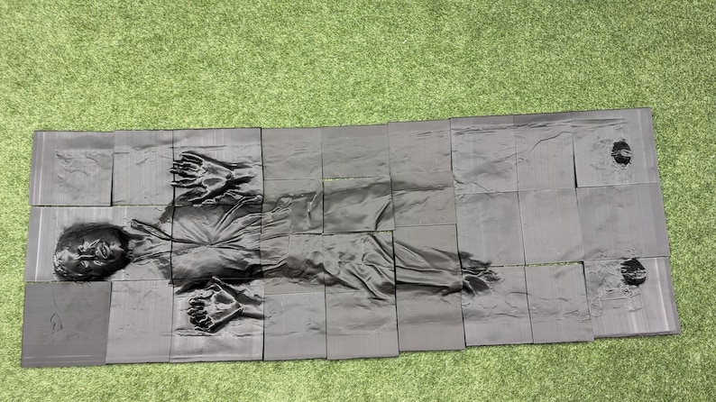 Life-Size Carbonite Front Panel — photographed physical product
