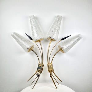 Pair of Vintage Brass Spike & Seeded Glass Tulip Wall Lights from the 1950s - Mid-Century / Hollywood Regency Style Design Lamps