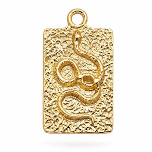 Könnte beinhalten: Goldfarbener Anhänger mit rechteckiger Form und strukturierter Oberfläche. Der Anhänger zeigt ein detailliertes Schlangenmuster, das sich auf der Vorderseite windet. Oben befindet sich eine kleine Schlaufe zum Befestigen an einer Kette. Aus Metall.