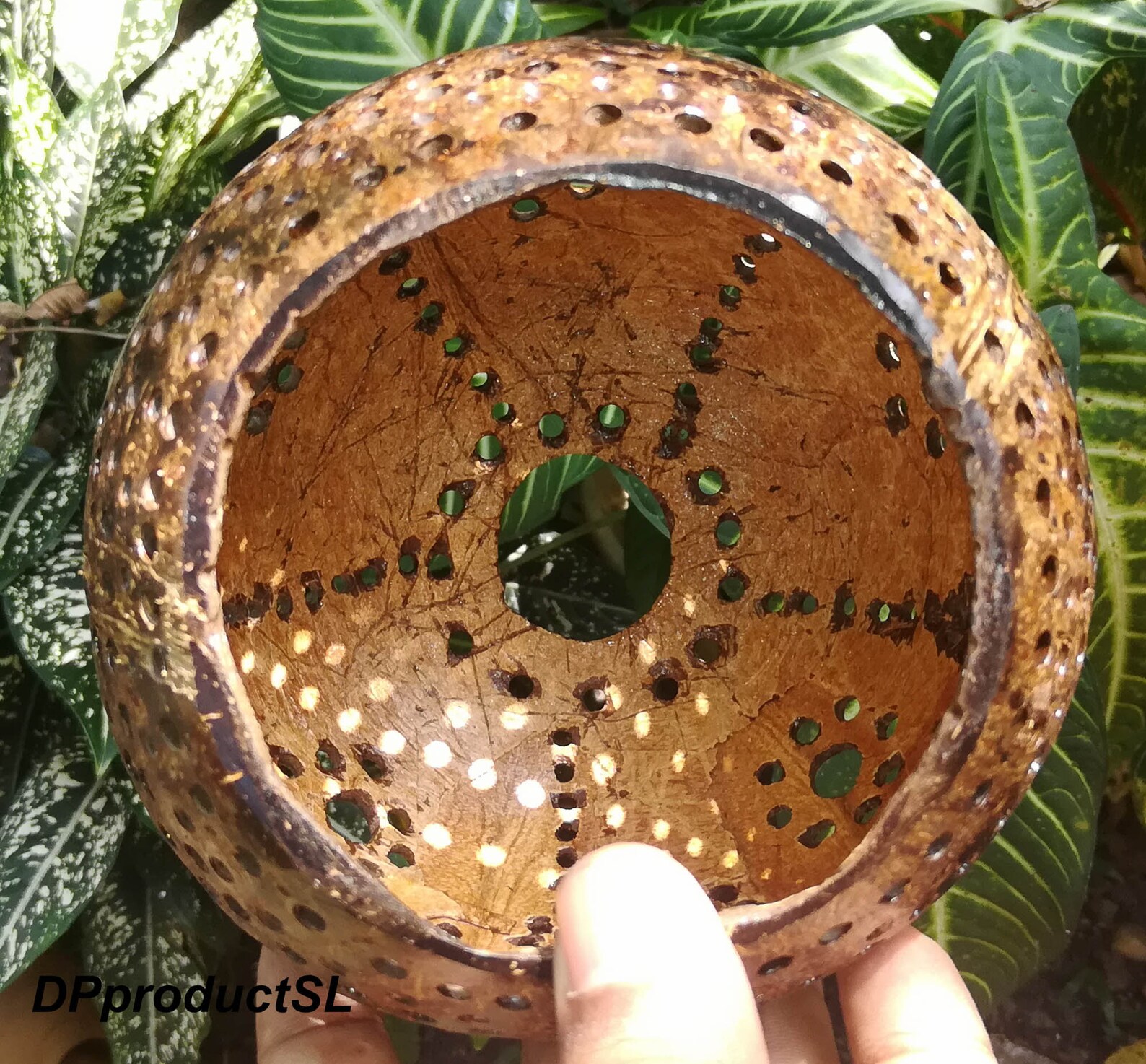 Coconut Shell Bedroom Lamp.indoor or Outdoor Candle Light Etsy Canada