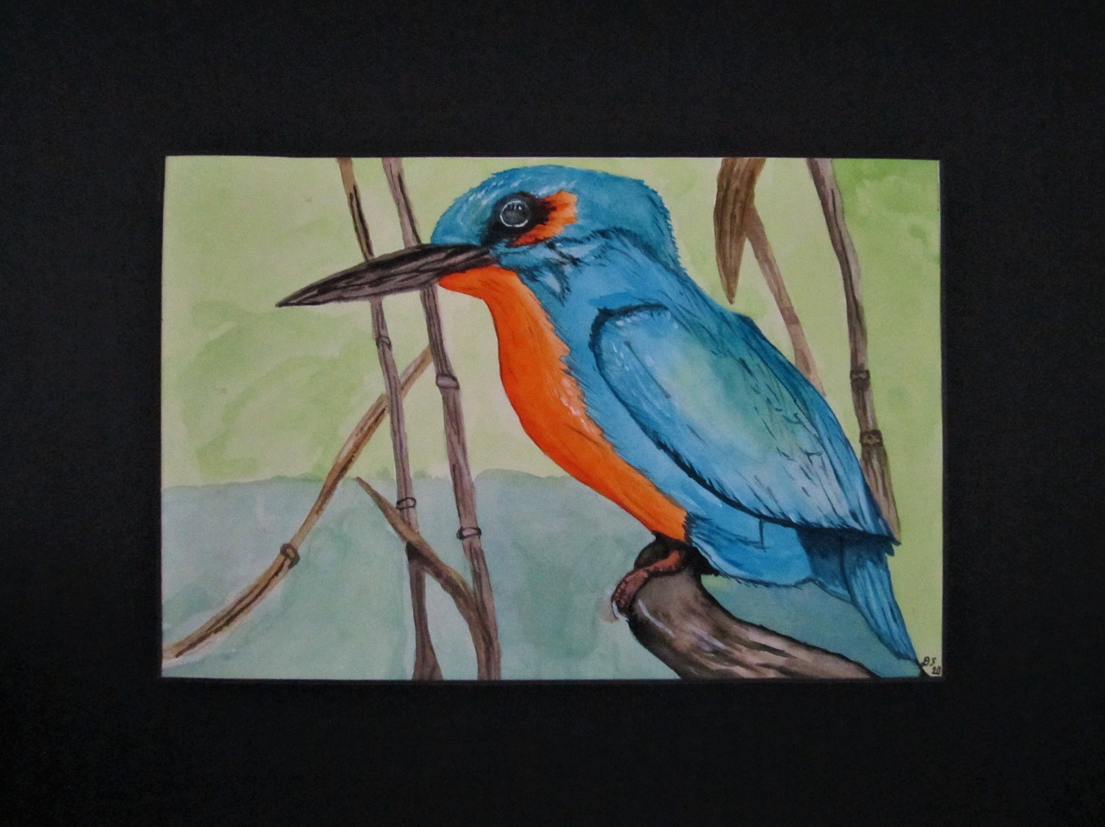 unique watercolour painting of a kingfisher etsy