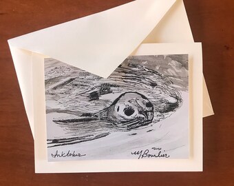 Harbor Seal--pen and ink by the artist.  Limited time offer-free shipping!
