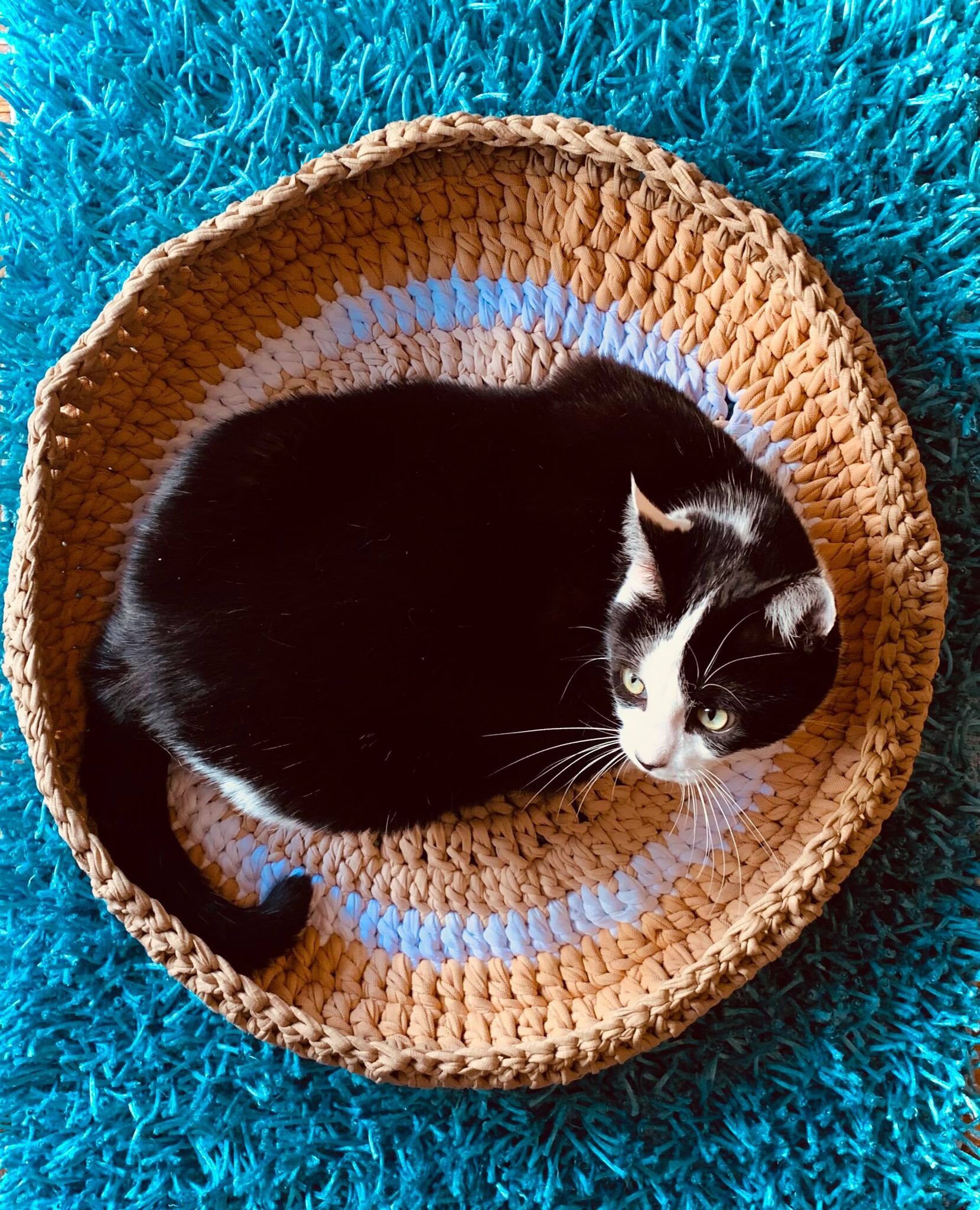 Sleeping basket for cat or dog Etsy