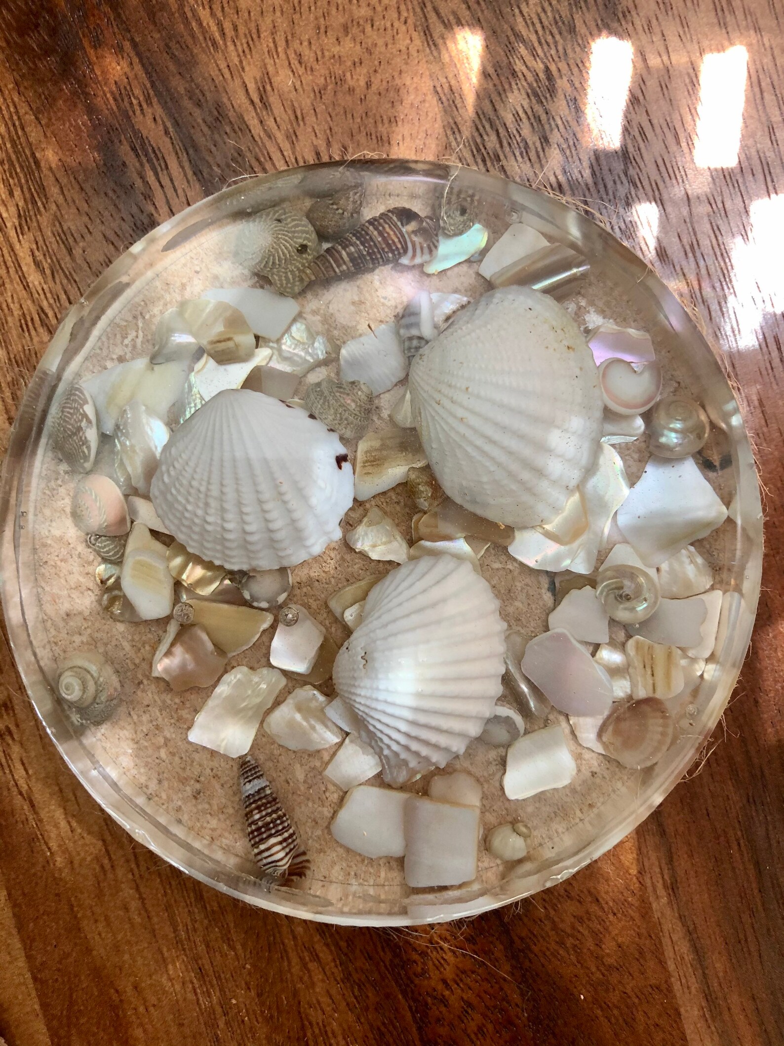 Ocean Coasters Sea Shell Coasters ocean wave resin coasters Etsy