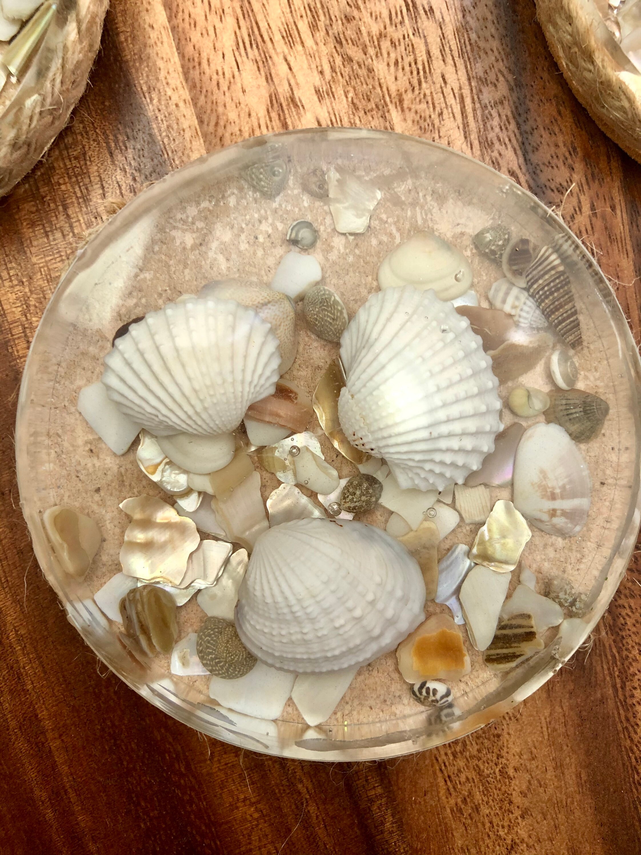 Ocean Coasters Sea Shell Coasters ocean wave resin coasters Etsy