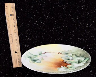 J P L France Limoges Hand Painted Plate Dish Beaded Edges JPL