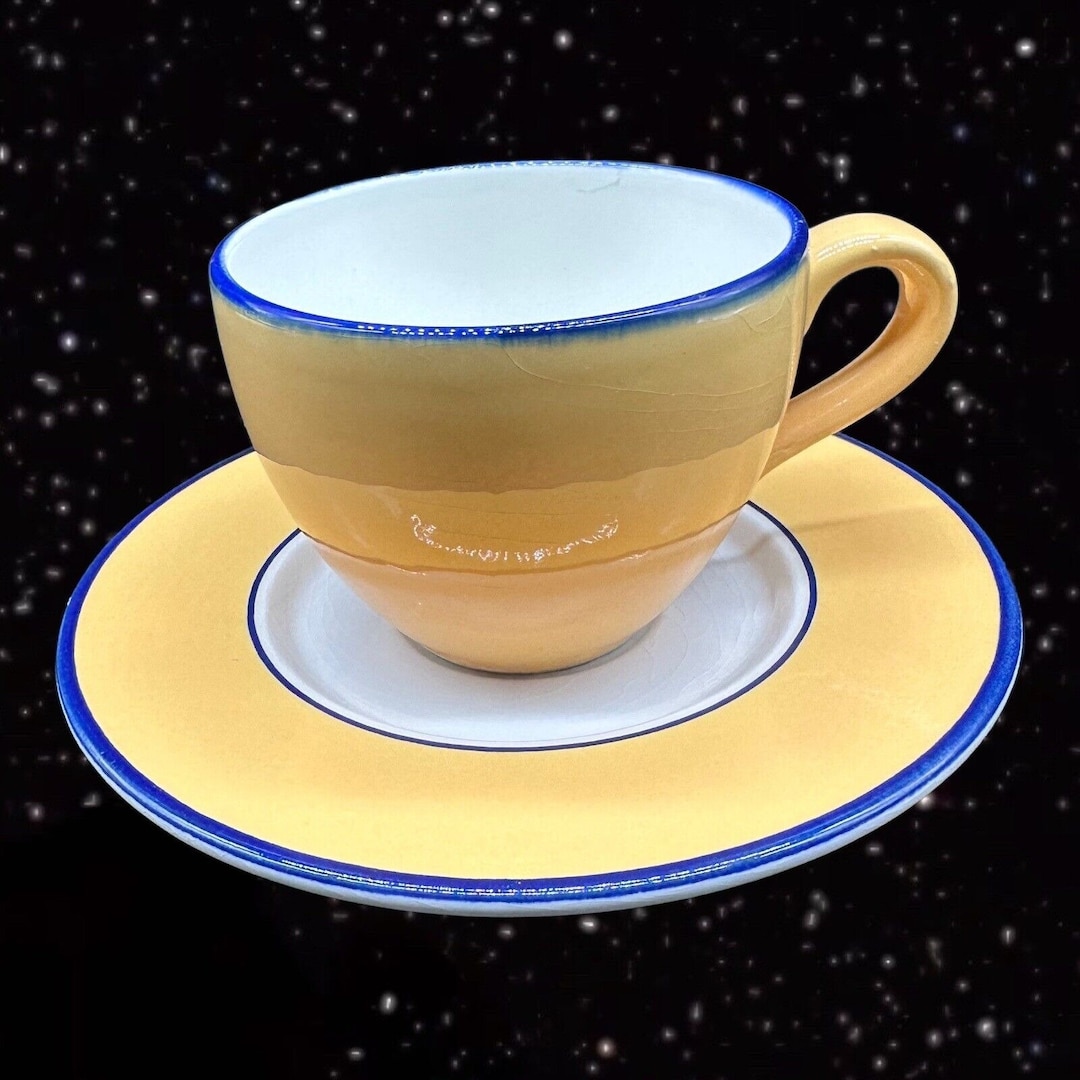 Pagnossin Ironstone Treviso Spa Yellow Blue Rim Cup and Saucer Ceramic