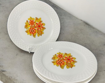 Schirnding Bavaria Porcelain Dish Plate Set 4 With Red Orange