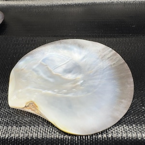 May include: A pearlescent, iridescent seashell with a smooth, curved surface. The shell has a natural, organic shape with a subtle, swirling pattern of white, gray, and hints of gold. The shell is set against a dark background.