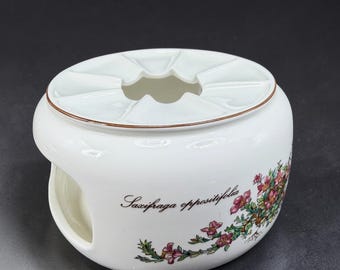 Villeroy & Boch Botanica Teapot Warmer Vitro Porcelaine Borago Saxifraga 6inch