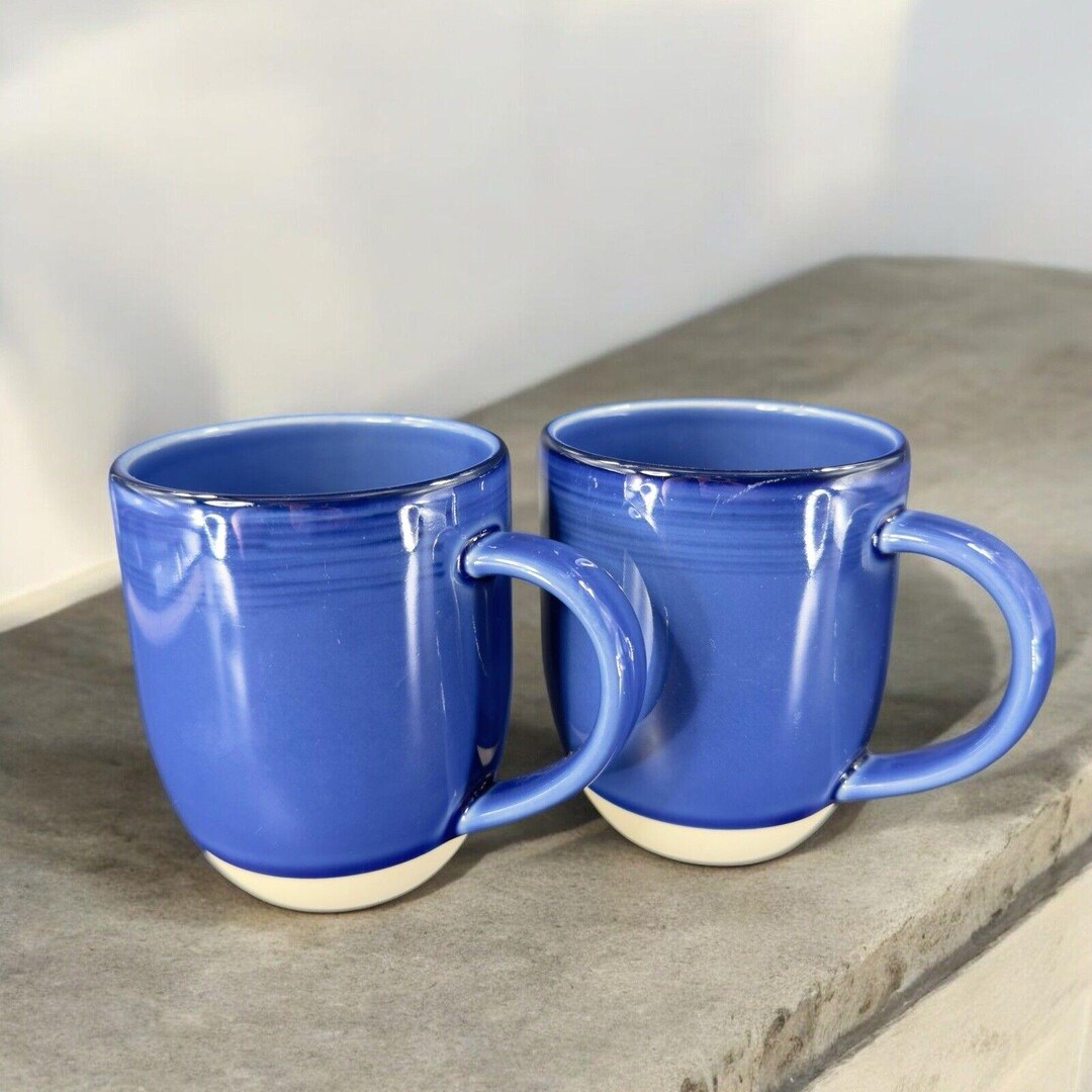 Royal Doulton Ellen Degeneres ED Blue Brushed Glaze Coffee Cup Mug Set ...