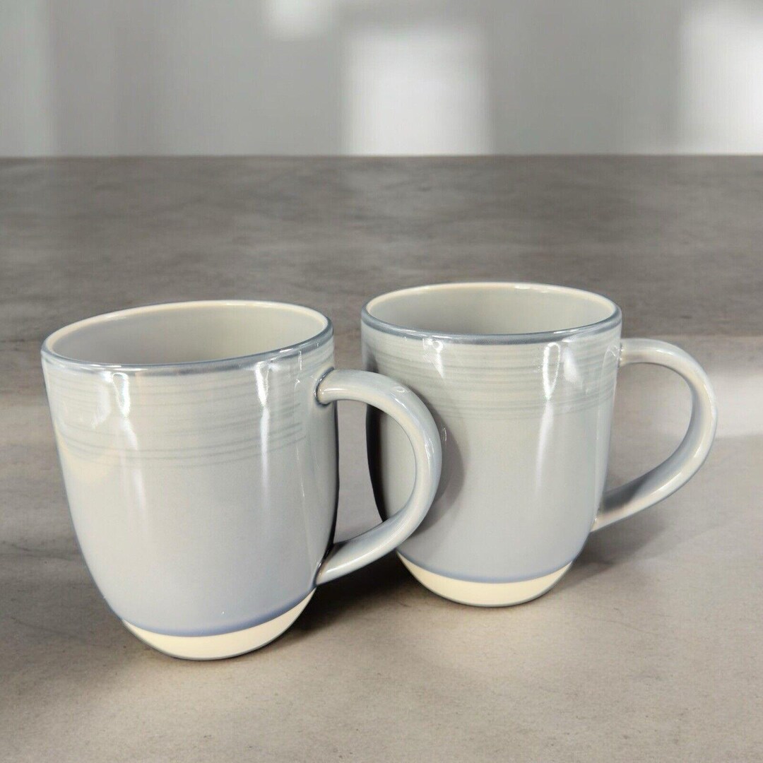 Ellen Degeneres ED by Royal Doulton Gray Brushed Glaze Coffee Cup Mug ...