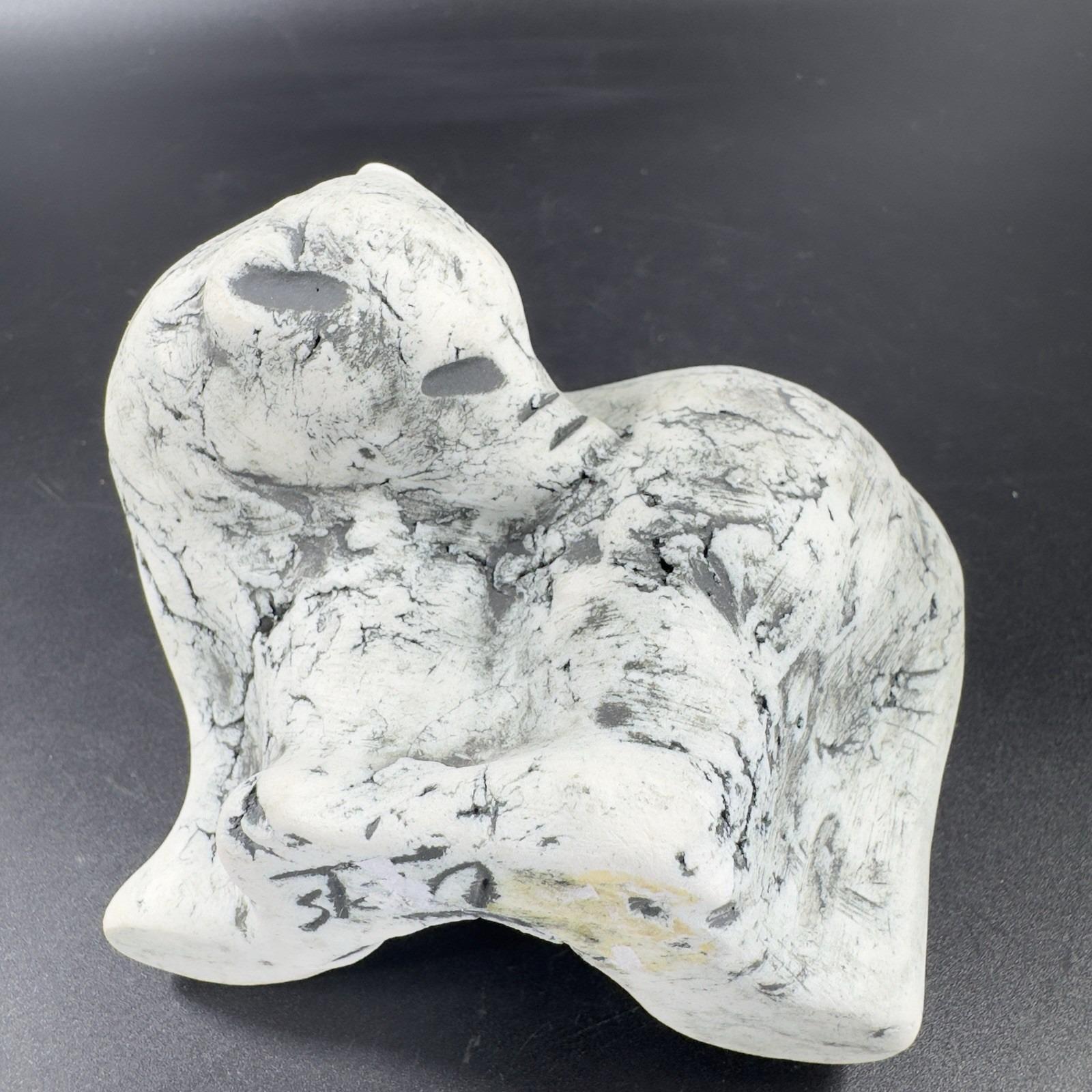 ブラヘア アルマータ S 特白個体 Mt St Helens Volcanic Ash Hand Sculpted Signed Stan Langtwait