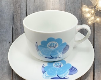Richard Ginori Antico Blue Flower Gran Fuoco Teacup Saucer Set Made In Italy