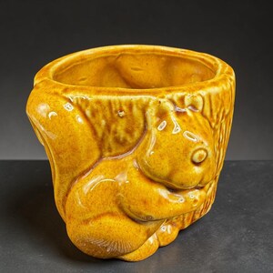 May include: A ceramic planter in a warm yellow-brown hue, featuring a detailed squirrel design. The planter has a textured surface and a wide opening, suitable for small plants or decorative items. The squirrel is sculpted in a sitting position.