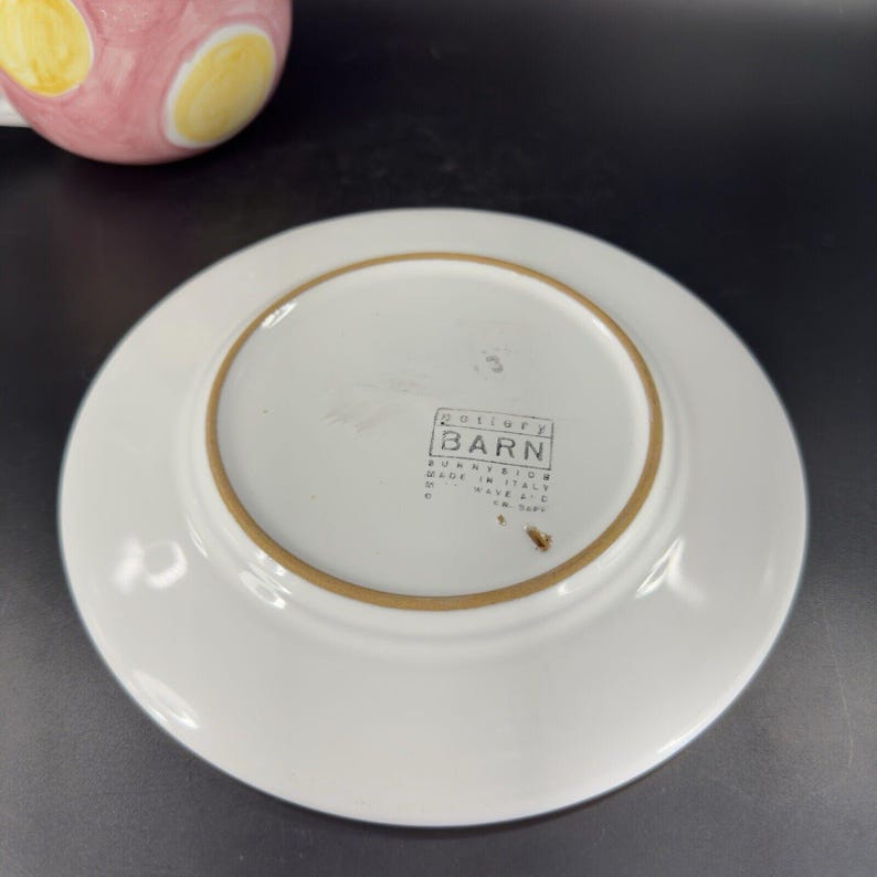 Pottery Barn Sunnyside Teacup and Saucer Pink Yellow Check Pattern