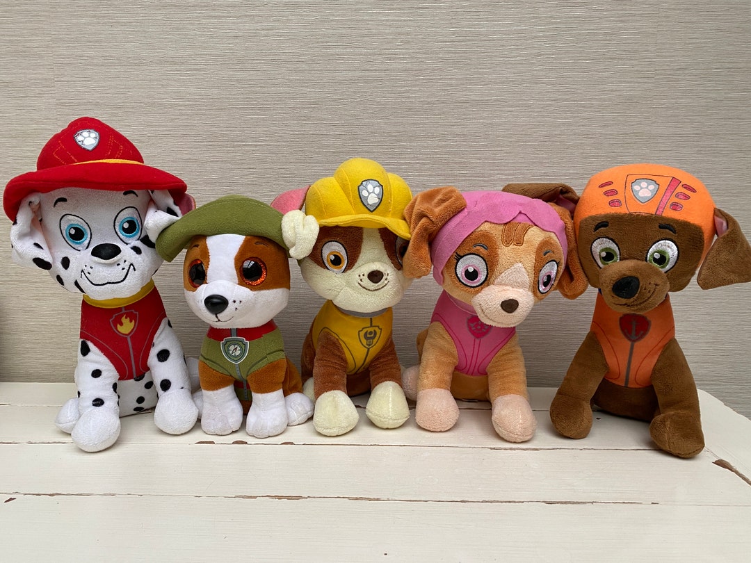 What Kind Of Dog Is Tracker From Paw Patrol Paw Patrol: Tracker