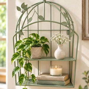 May include: A sage green metal wall shelf shaped like a birdcage with an arched top, a small bird finial, and decorative metal leaves. The two-tier shelf holds a potted pothos plant, a small white vase with flowers, a candle, and two books.