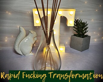 RAPID FUCKING TRANSFORMATION Incense - Manifestation Incense, Ritual Incense, Spell incense, Manifesting Incense, intention incense