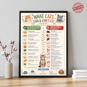 May include: A framed educational poster titled What Cats Can & Can't Eat, featuring illustrations of cats and a two-column list of safe and harmful foods. The guide includes text descriptions for items like chicken, fish, chocolate, and onions.