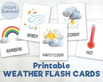Printable Weather Flash Cards Learning Busy Book Three Part Cards Homeschool Learning Sheets Toddler Activity Preschool Worksheets for kids