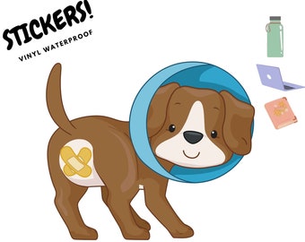 Cute Puppy in Cone and Bandaids Vinyl Waterproof Stickers | Brown Dog in Cone of Shame Sticker Art | Stickers for kids, adults, veterinary