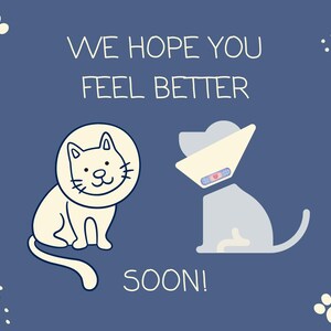 Feel Better Soon Veterinary Post Card Stationary sets | Get Well Soon Flat Cards with Envelopes Sets of 10, 30 or 50 for Veterinarians, Pets