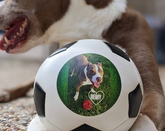 Custom Soccer Ball for Pet Gifts and Dog Lovers | Keepsake Soccer Ball for Dogs Cats Pets | Personalized Ball with Stand | Memorial Pet Gift