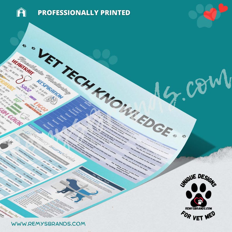 Vet Tech Knowledge Poster: Small Animal Veterinary Infographics - Etsy